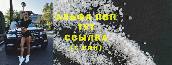 крисы Баксан