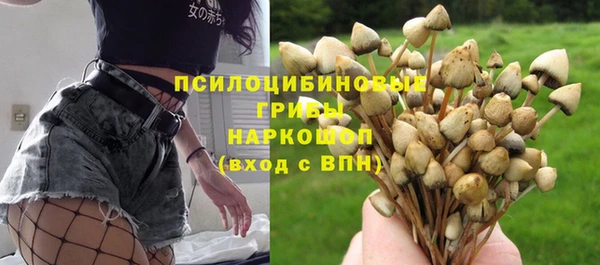 стафф Балахна