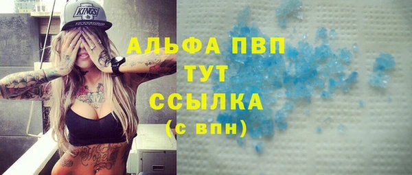 крисы Баксан
