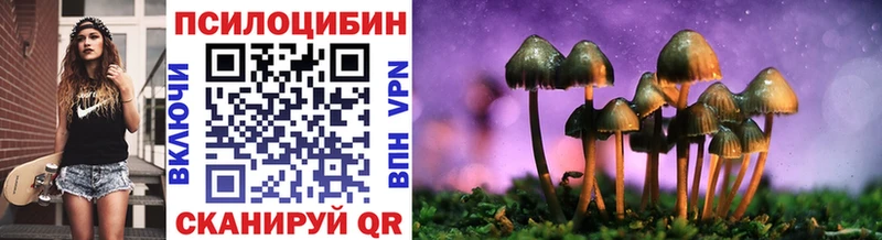 Псилоцибиновые грибы MAGIC MUSHROOMS  blacksprut вход  Каспийск 